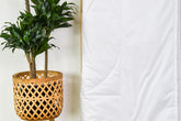 Wool 150gsm Summer Weight Machine Washable Comforter - New Zealand Made